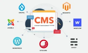 content management system cms 2 20241120 3519263