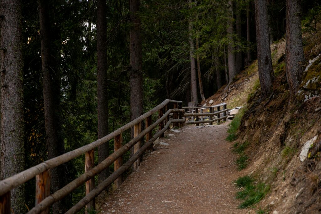 Scenic forest trail with a wooden fence, perfect for hiking and exploring nature.